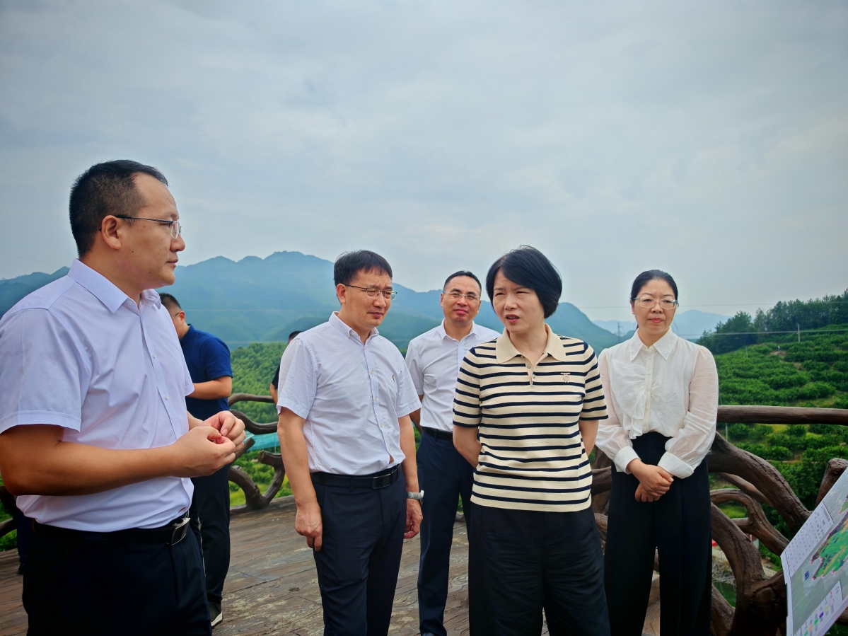 盧彩柳副市長到慶元縣調(diào)研技能型社會建設工作